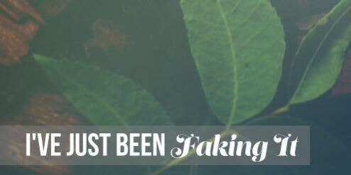 BlogHeaders-FakingIt